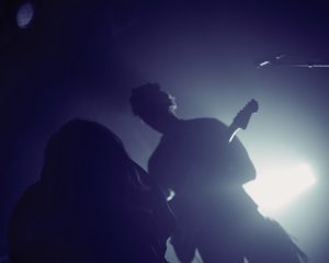 Festival Logo Shelf Lives