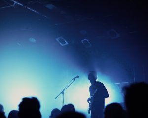 Festival Logo Shelf Lives
