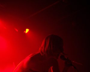 Festival Logo Shelf Lives