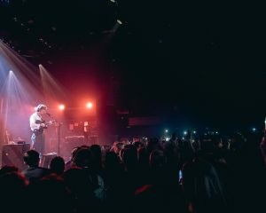 Festival Logo Searows