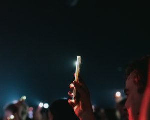 Festival Logo Searows