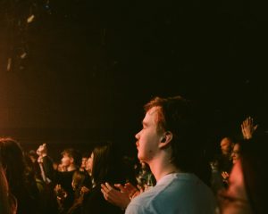 Festival Logo Searows