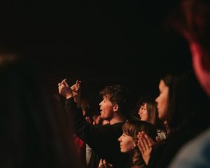 Festival Logo Searows