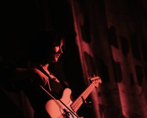 Festival Logo Searows