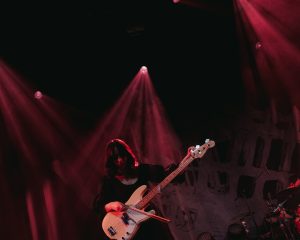 Festival Logo Searows