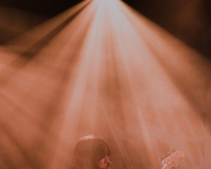 Festival Logo Searows