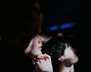 Festival Logo Searows