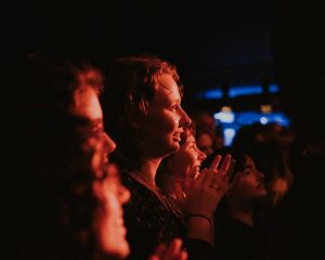 Festival Logo Searows