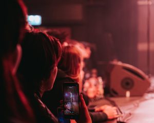 Festival Logo Searows