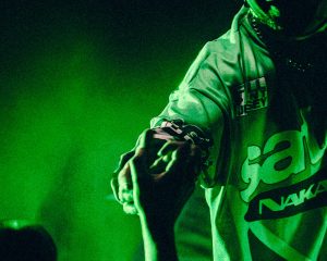 Festival Logo Mr. Polska