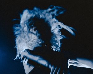 Festival Logo Kap Bambino