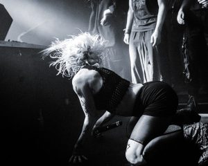 Festival Logo Kap Bambino