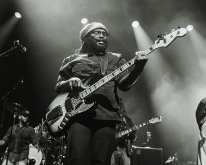 Festival Logo The Wailers