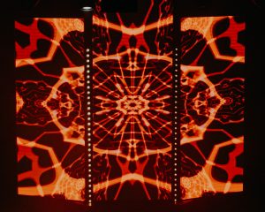 Festival Logo Planet Rose