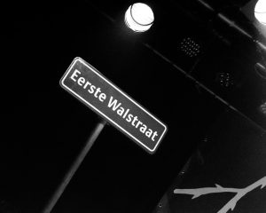 Festival Logo Voorronde 2 De Roos van Nijmegen