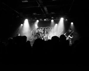 Festival Logo Voorronde 2 De Roos van Nijmegen