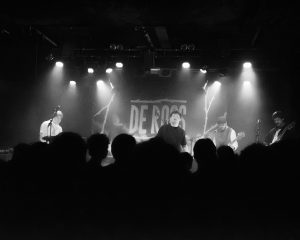 Festival Logo Voorronde 2 De Roos van Nijmegen