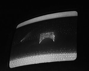 Festival Logo Voorronde 1 De Roos van Nijmegen