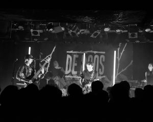 Festival Logo Voorronde 3 De Roos van Nijmegen