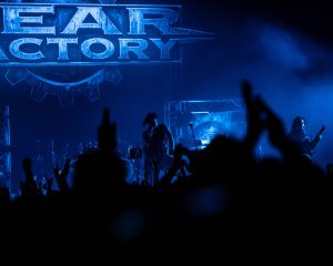 Festival Logo Fear Factory + Crystal Lake + Hate + The Noctural Affair