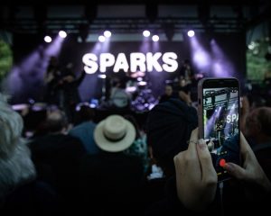 Festival Logo Sparks