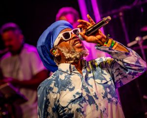 Festival Logo Steel Pulse