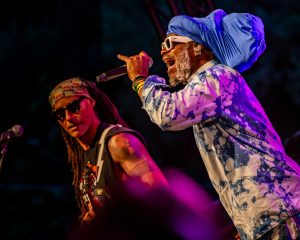 Festival Logo Steel Pulse