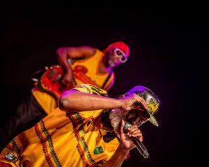 Festival Logo Steel Pulse