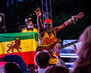 Festival Logo Steel Pulse