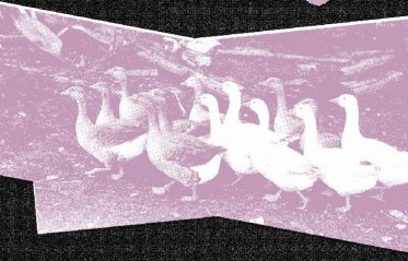 Image for Indie Disco