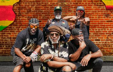 Image for Steel Pulse