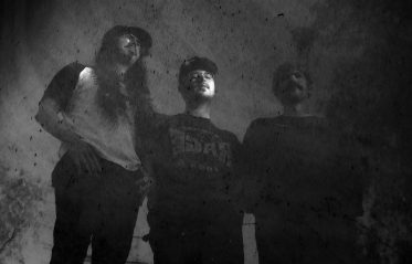 Image for Shallowater