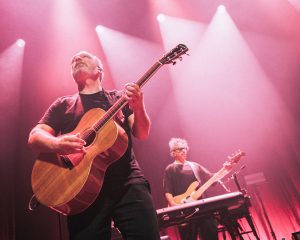 Festival Logo Racoon