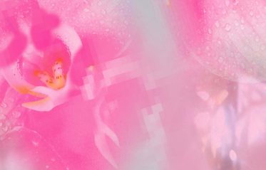 Image for GENXSIS
