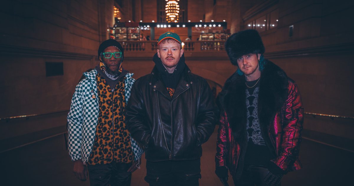 Too Many Zooz