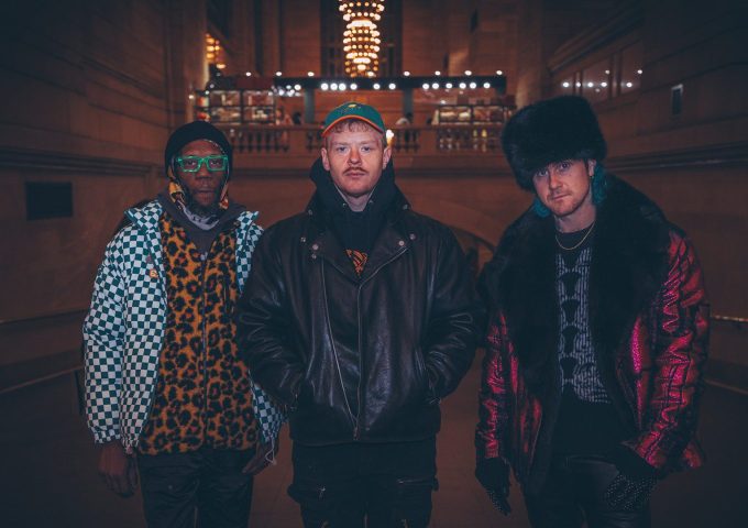Image for Too Many Zooz
