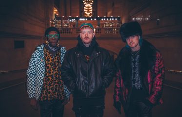 Image for Too Many Zooz